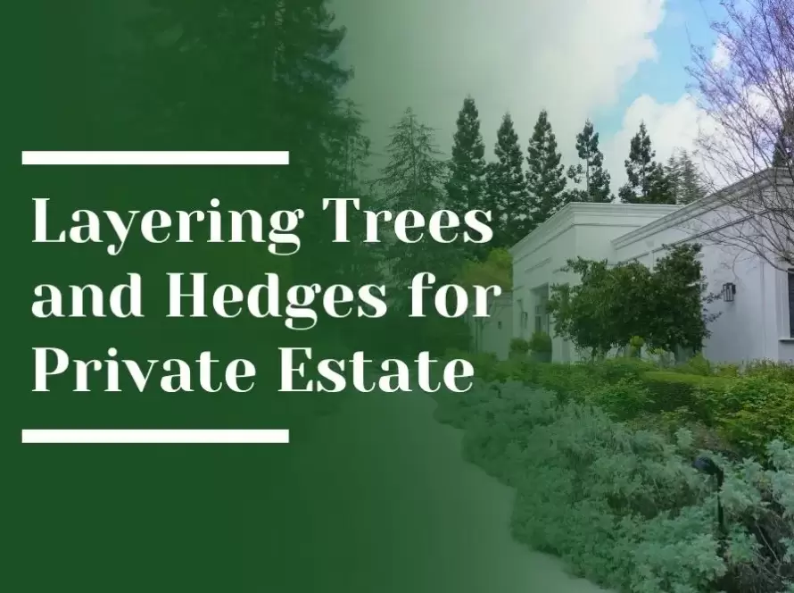 Layering Trees and Hedges for Private Estate garden Blog Image