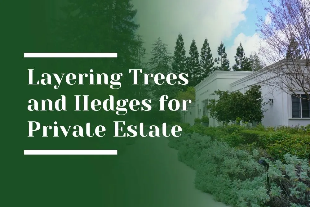 Layering Trees and Hedges for Private Estate garden Blog Image