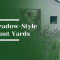 How Meadow-Style Front Yards Are Replacing Traditional Lawns in Los Altos
