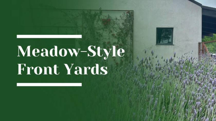 Meadow-Style Front Yards Blog Image