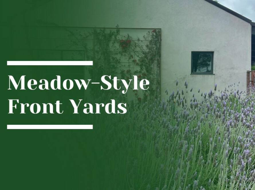 Meadow-Style Front Yards Blog Image