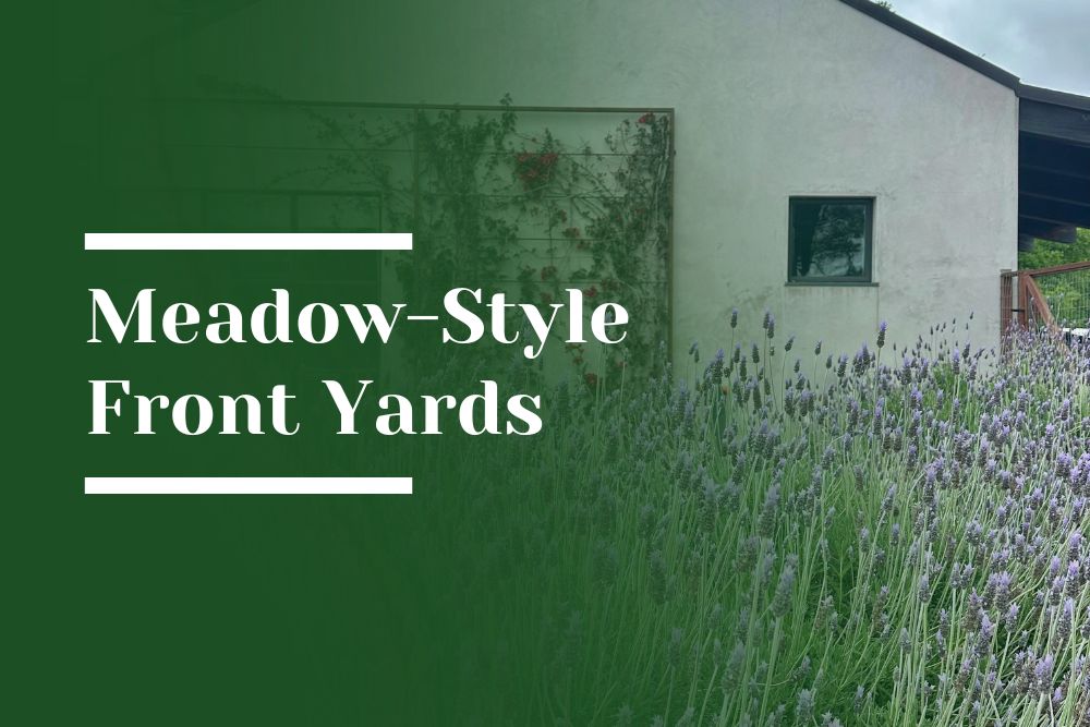 Meadow-Style Front Yards Blog Image