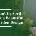 What to Plant in April for a Beautiful Garden Design in Woodside