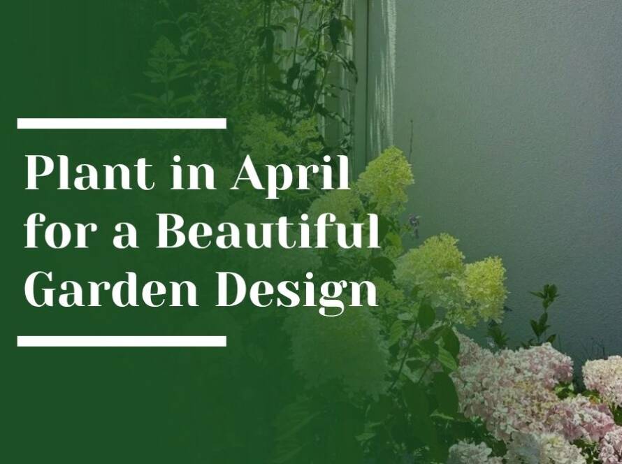 Plant in April Garden Design Blog Image