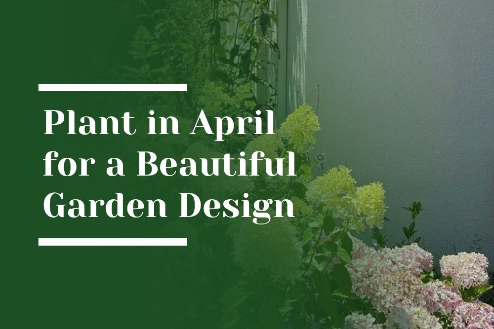 Plant in April Garden Design Blog Image