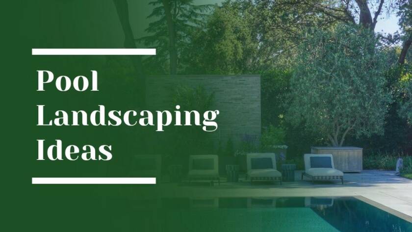 Pool Landscaping Ideas Blog Image