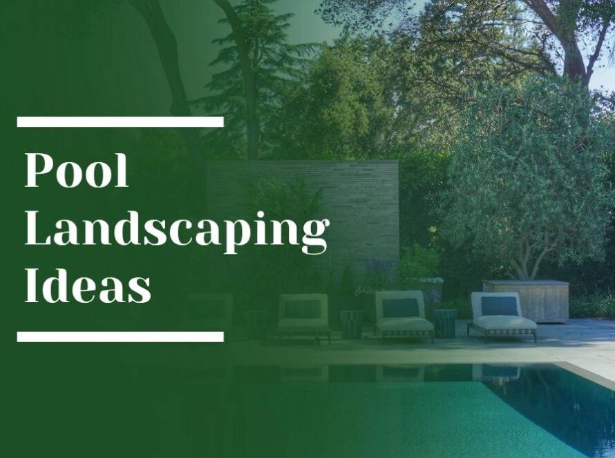 Pool Landscaping Ideas Blog Image