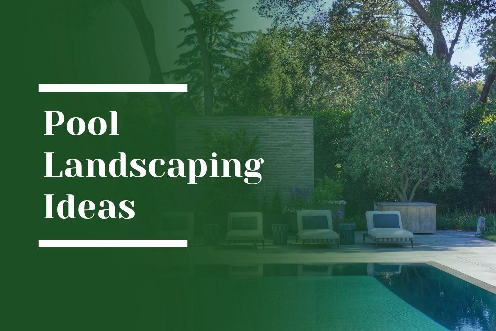 Pool Landscaping Ideas Blog Image