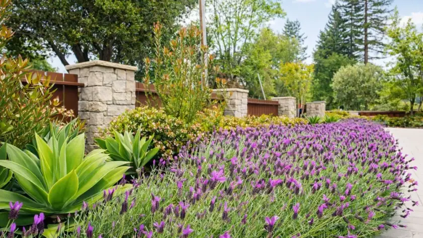 Front Entrance Garden Design