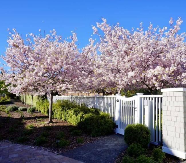 Stillwater_12_Landscape_Design