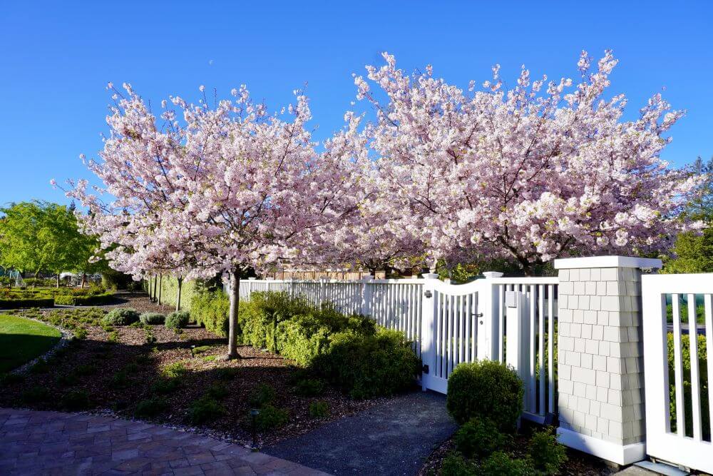 3D Outdoor Design