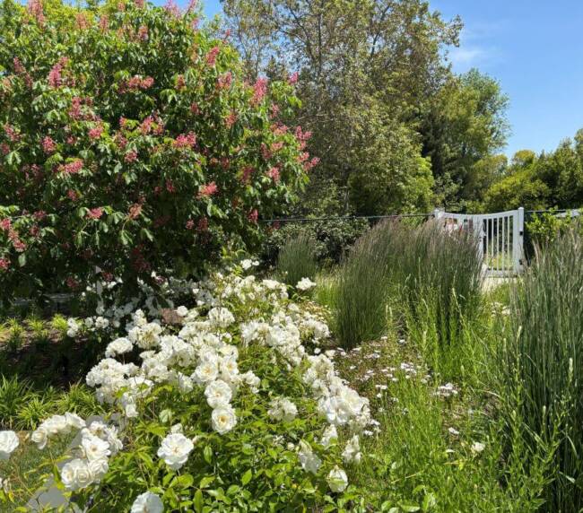 Stillwater_14_Landscape_Design
