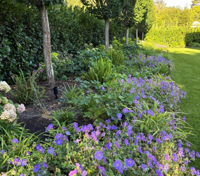 Stillwater_15_Landscape_Design