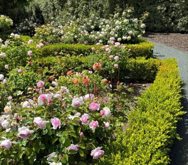 Stillwater_16_Landscape_Design