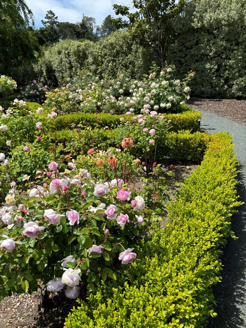 Flower Garden