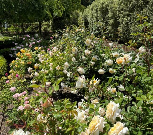 Stillwater_17_Landscape_Design