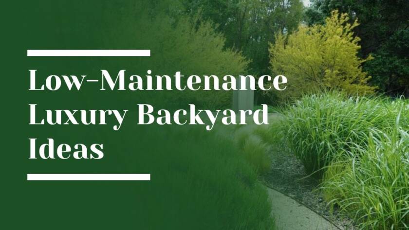 Low-Maintenance Luxury Backyard Ideas Woodside