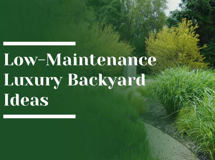 Low-Maintenance Luxury Backyard Ideas Woodside