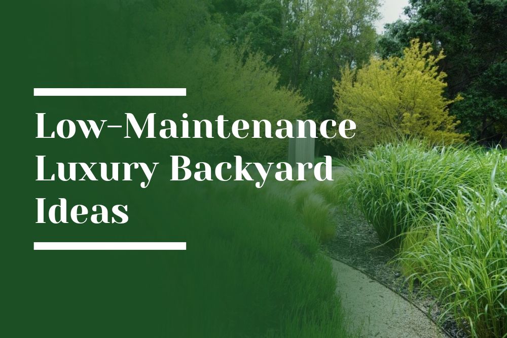 Low-Maintenance Luxury Backyard Ideas Woodside