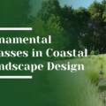 Using Ornamental Grasses in Pebble Beach Landscape Design