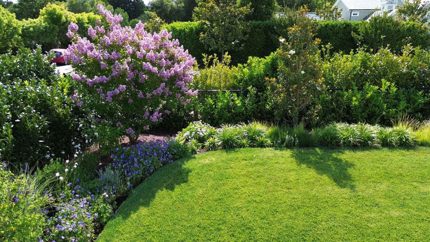 Flowering garden bordering lush green lawn