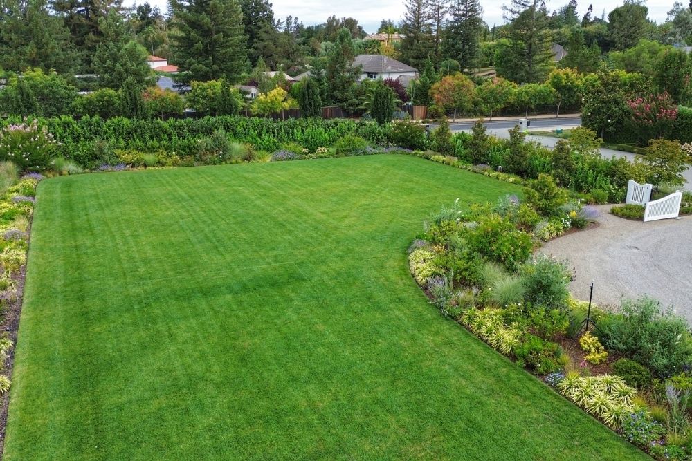 Expansive lawn surrounded by lush gardens