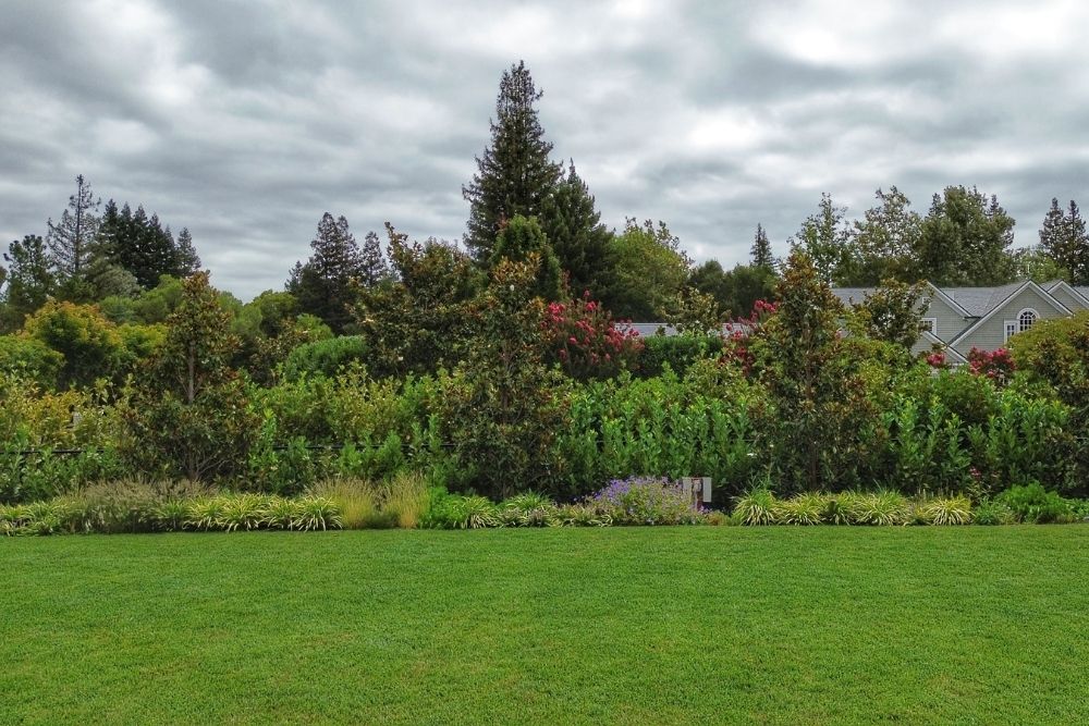 Manicured lawn with layered garden border