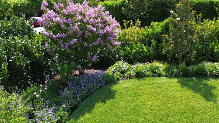 Cielo Azul Project by Petrus Landscape