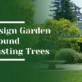 How to Design a Los Altos Garden Around Existing Trees