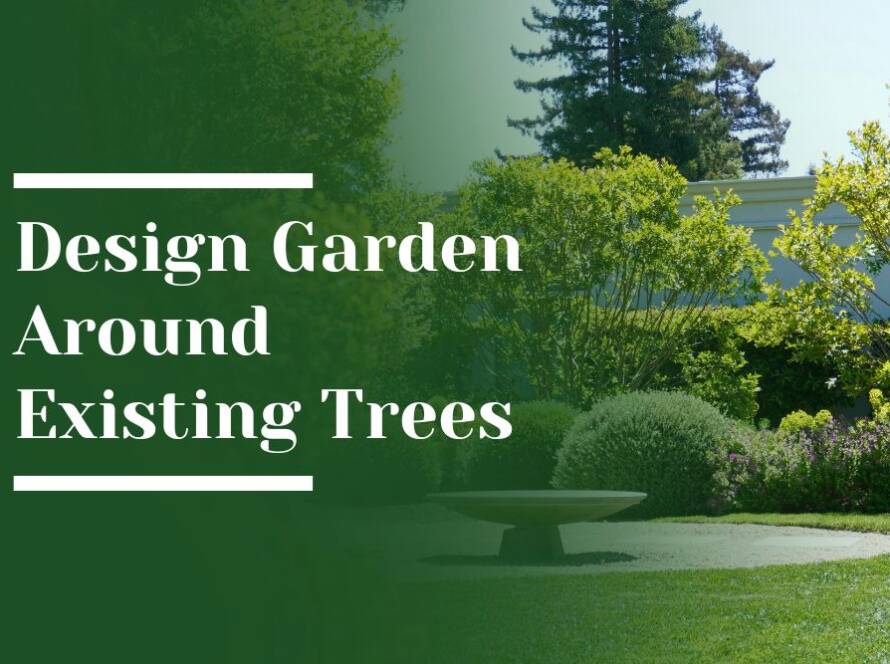 Design Garden Around Existing Trees