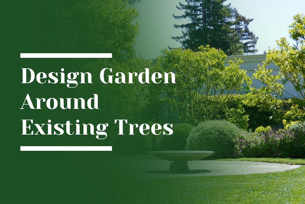 Design Garden Around Existing Trees