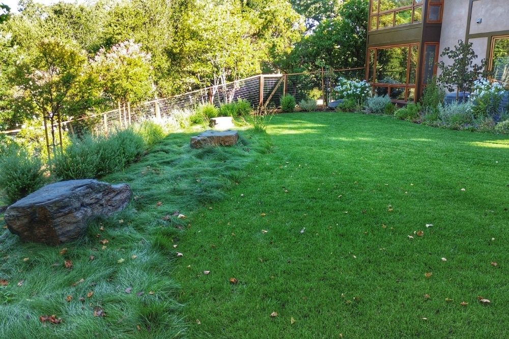 Green lawn with natural stone accents