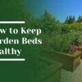 How to Keep Garden Beds Healthy for Properties in Portola Valley