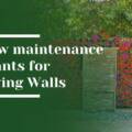Best Plants for a Low Maintenance Living Wall in Saratoga