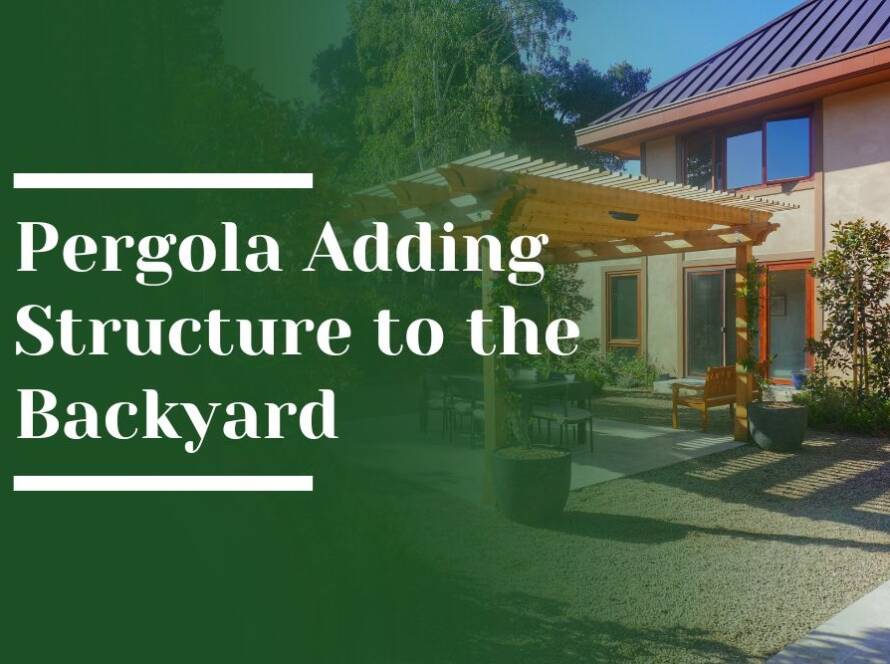Pergola adding structure to the backyard