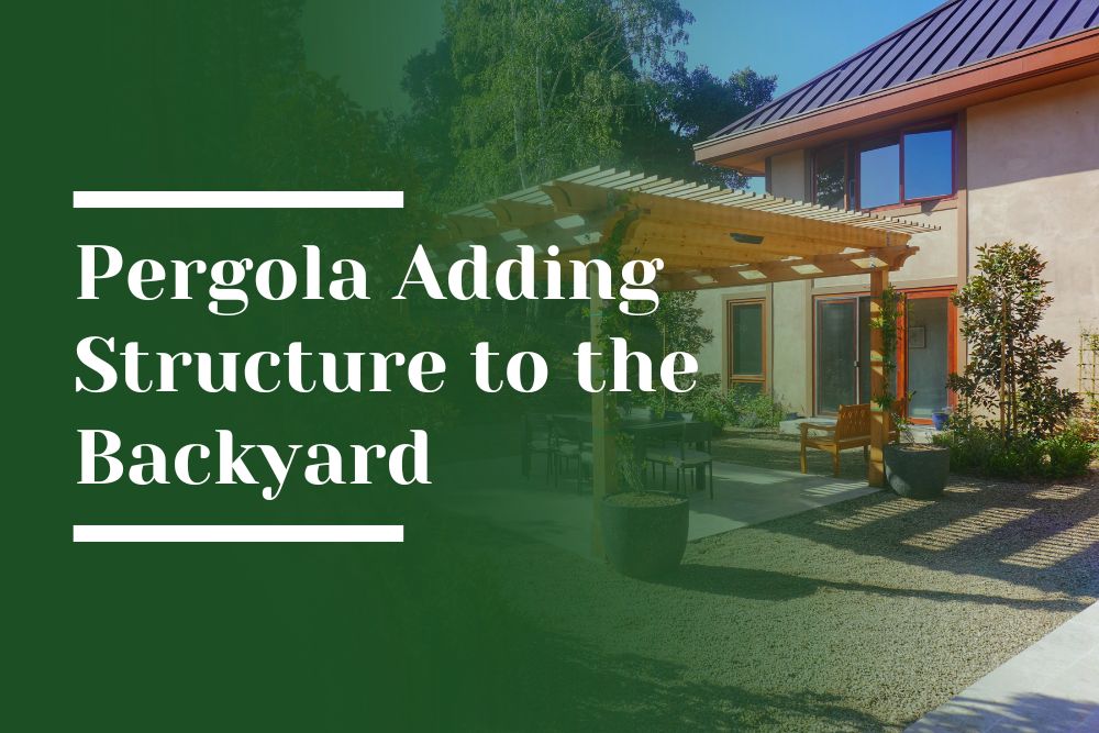 Pergola adding structure to the backyard