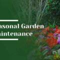 Seasonal Garden Maintenance for Los Altos Hills Properties