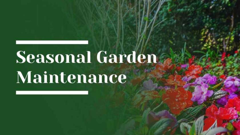 Seasonal Garden Maintenance