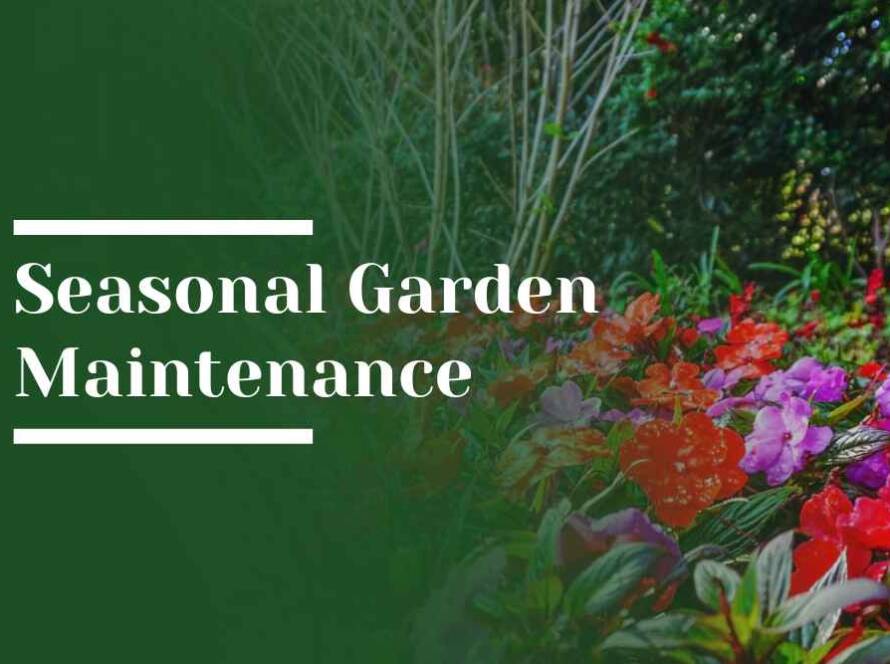 Seasonal Garden Maintenance