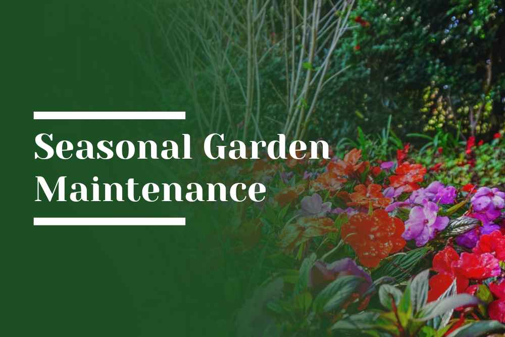 Seasonal Garden Maintenance
