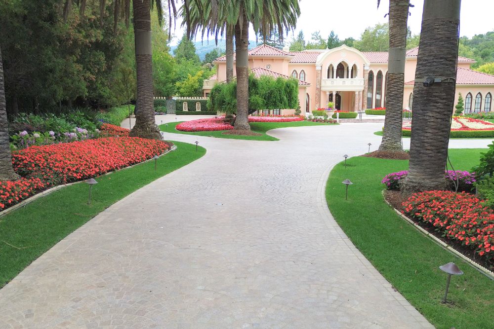 Palm-lined driveway with manicured flowerbeds