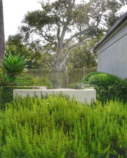 Lush, serene garden landscape.