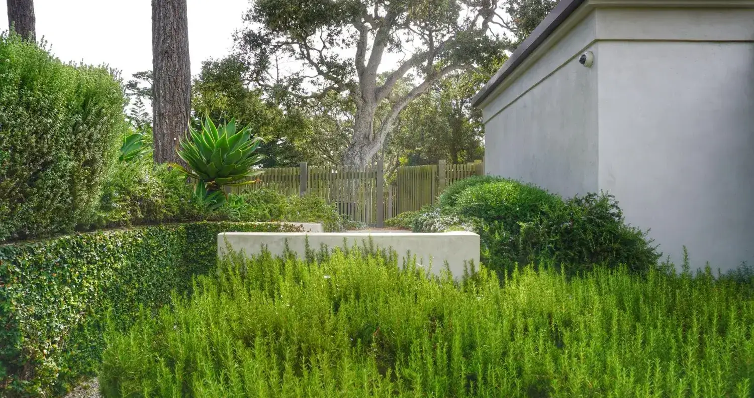 Costa Serena Landscape Design