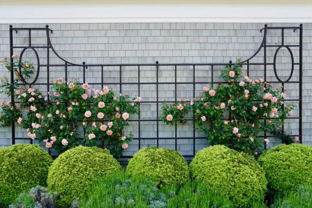 Horseshoe_Petrus_Landscaping_Luxury_Landscape_design_company_portfolio (3)