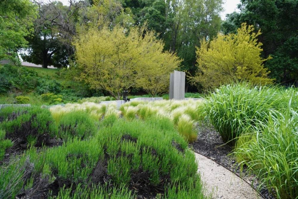 Horseshoe_Petrus_Landscaping_Luxury_Landscape_design_company_portfolio (5)