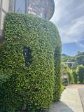 Fern Hill_Luxury_Landscaping_Project_Bay Area_7