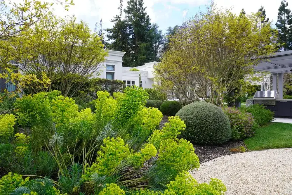 well-manicured garden with a variety of plants and shrubs