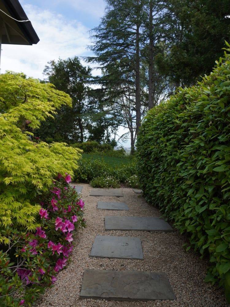 stone pathway with flowers and shrubs