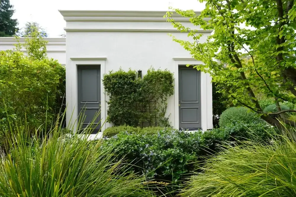 plants and tress in estate backyard