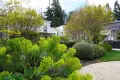 Vista_Verde_Atheron_Luxury_Landscape_Design_services_Company (4)